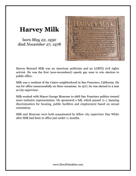 Harvey Milk Hero Biography
