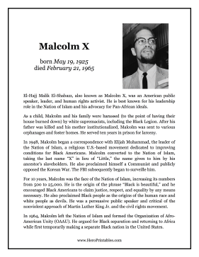 Malcolm X Hero Biography