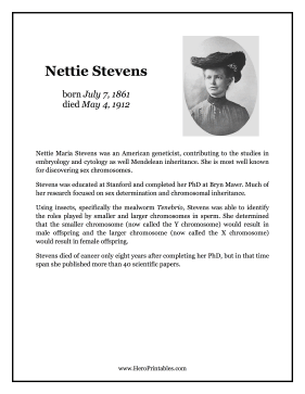Nettie Stevens Hero Biography